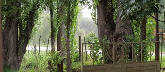 Country house in Argentine vineyard