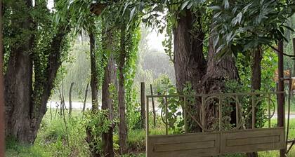 Landhaus im argentinischen Weinberg