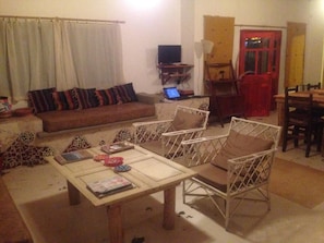 TV, fireplace, books