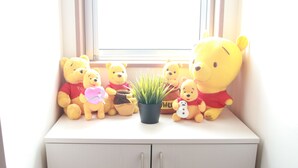 Un rebord de fenêtre orné de peluches à l’effigie de Winnie l’ourson et d’une petite plante en pot.