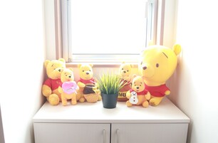 37-英寸液晶电视（配备数码频道）、电视、玩具