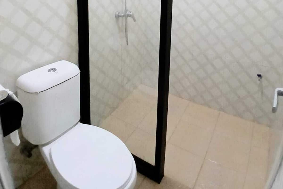 Shower, bidet, towels, soap