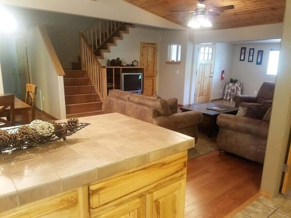 Télévision, cheminée, espaces bureaux