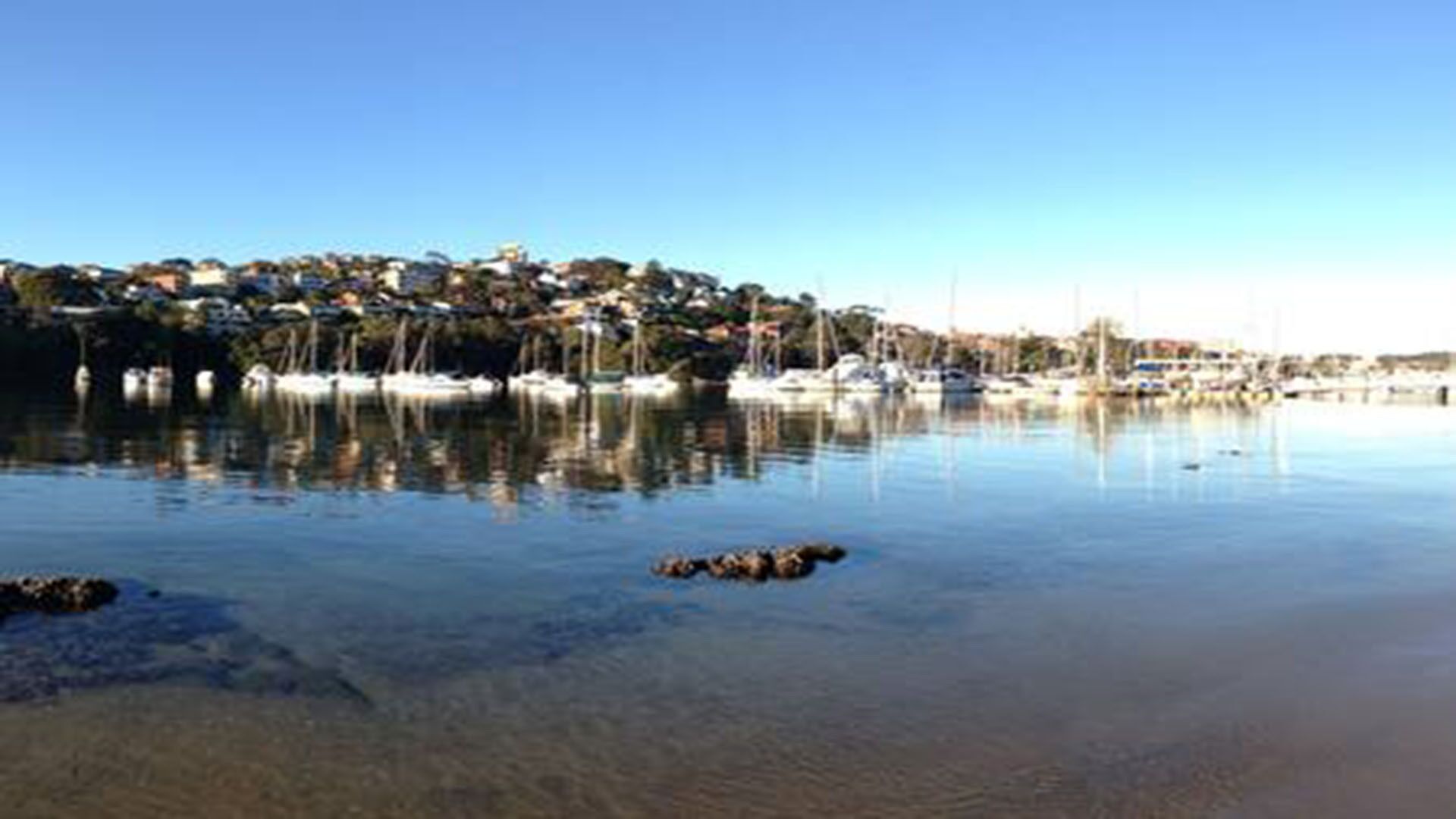 Supersized whole floor Residence Near Manly — image 13