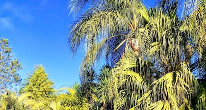 Wonderful, special and unique landscape. How about a nice weekend.