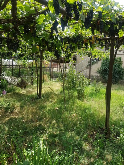 wine valley hostel (near David gareja)