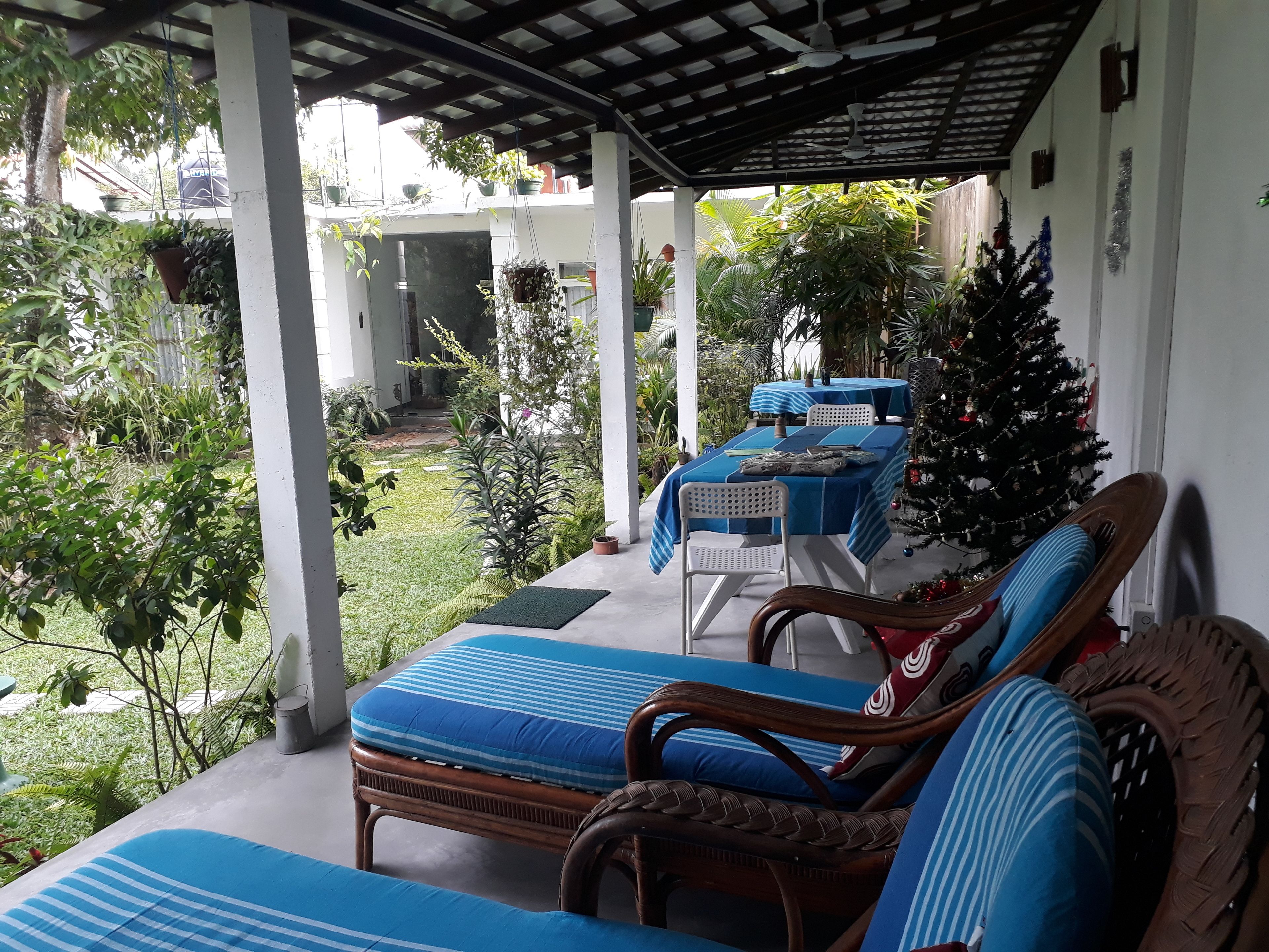 A covered outdoor seating area with lounge chairs and a table, surrounded by greenery and a decorated Christmas tree.