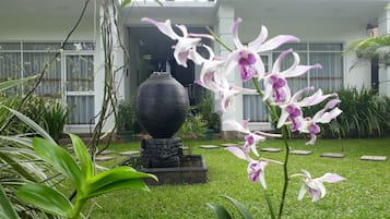 Habitación Deluxe doble | Vistas desde la habitación