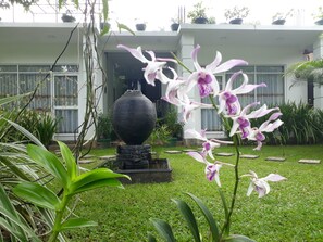 Deluxe Double Room | View from room - Villa Olga (Unawatuna)