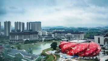 Elite Double or Twin Room | View from room