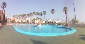 A large outdoor swimming pool with multiple lanes, surrounded by palm trees and lounge chairs.