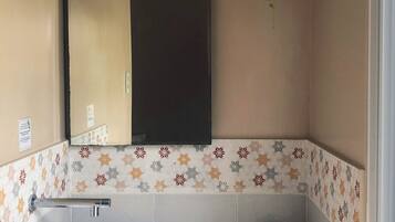 A bathroom with a white sink, a mirror, a decorative tile backsplash, a hanging plant, and a small potted plant on the counter.