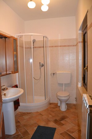 Shower, hair dryer, bidet, towels