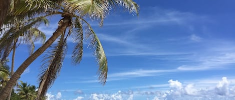 Sur la plage