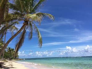 Playa en los alrededores 