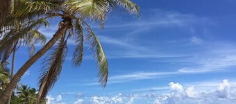 villa MANGO any comfort with small sea view