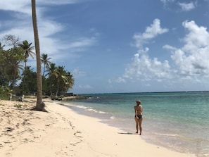 Plage à proximité