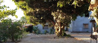 bungalow 1 for 3 people