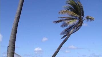 Sun loungers, beach towels