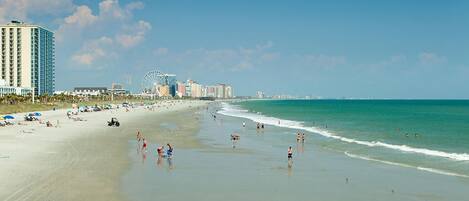 On the beach, sun-loungers, beach towels