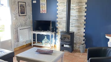 TV, fireplace, books