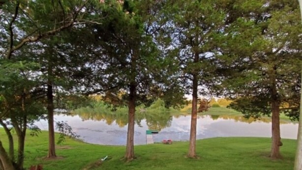 Un espace extérieur paisible avec un étang, entouré d’arbres et d’une pelouse verdoyante. On y trouve deux bancs en bois, placés face à l’eau.