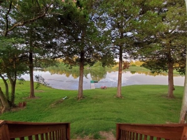 Property grounds - Charming cottage overlooking Lake Acre (Dongola)