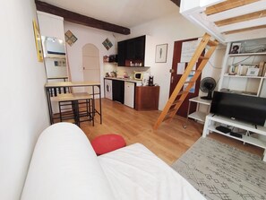 Ein kompakter Wohnraum mit Küchenzeile, Essbereich, Fernseher und Schlafplatzart Hochbett.