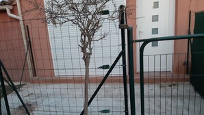 A potted plant in a wire cage, a door, and a building facade. - F2, air conditioned all comfort (Fréjus)