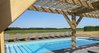 Magnificent house, near Beauval, private pool, tennis, quiet, 800 Ha property