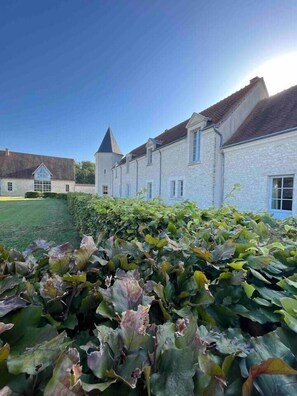 Property grounds - Château Bizard, 19 p, pool, near castles (Monthou-sur-Cher)