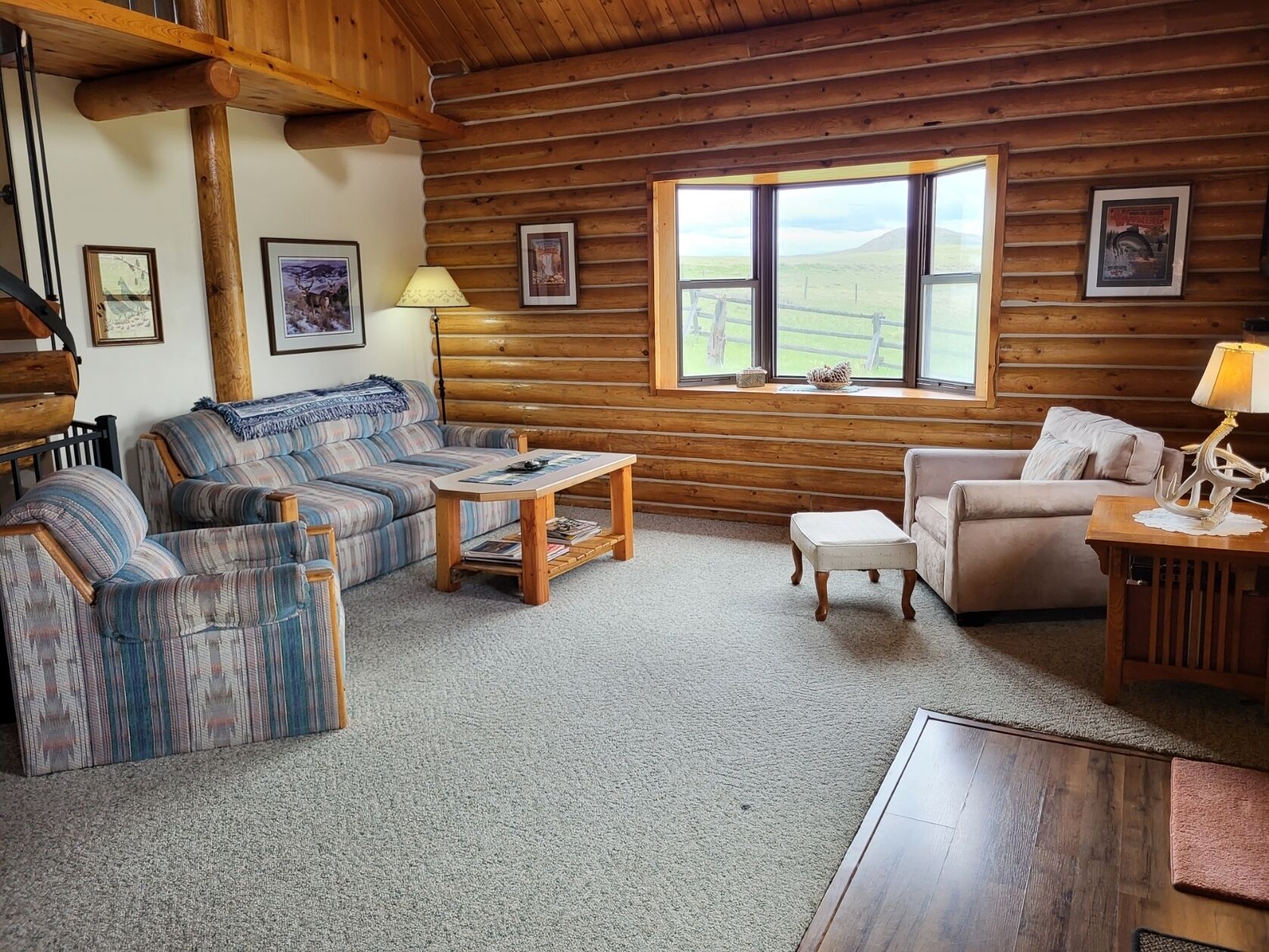 TV, fireplace, DVD player, books