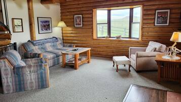 TV, fireplace, DVD player, books