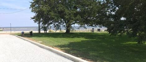 A gravel road with a grassy area and trees.
