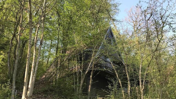 Eine rustikale Holzbrücke, die zu einem steinenen Bogen in einem bewaldeten Gebiet führt.
