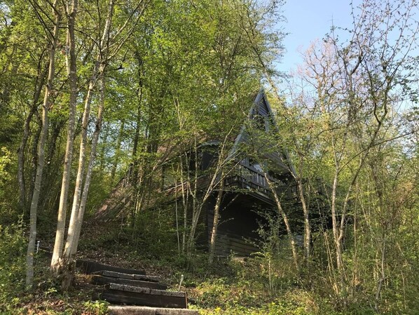 Exterior - Bungalow / Chalet 218 Durbuy Ardennes Wifi and pool (Durbuy)