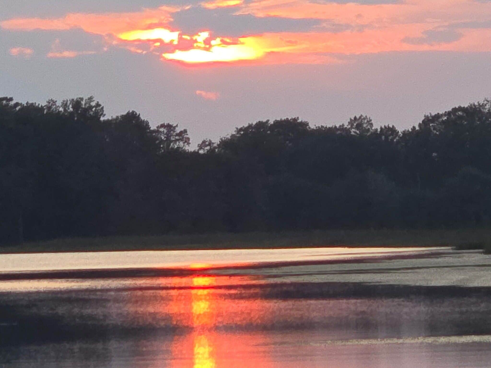 View from front deck