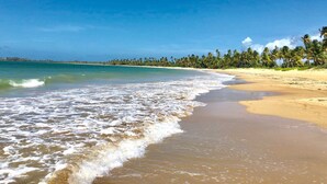 Ein Strand mit klarem, blauem Wasser, einem sandigen Ufer und einer Reihe von Palmen.