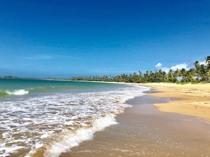 Serviettes de plage