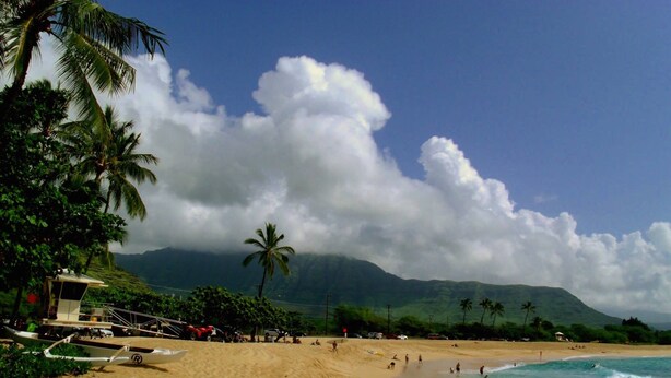 A beach with palm trees, a sandy shore, and a mountain in the background. - SURFERS DREAM STUDIO (Waianae)