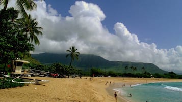 Beach nearby, sun-loungers, beach towels