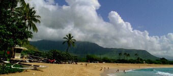 SURFERS DREAM STUDIO