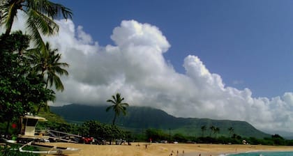 SURFERS DREAM STUDIO