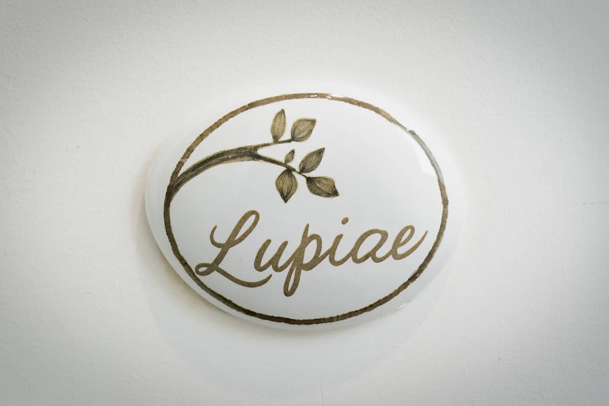 标准双人房, 阳台 (Lupiae) | 高档床上用品、加厚床垫、客房内保险箱、办公桌