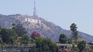 A hill with the Hollywood sign visible in the background. - Tiny Home -  Hollywood Sign View (Los Angeles)