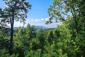 Eine bewaldete Landschaft mit einem Berg in der Ferne.