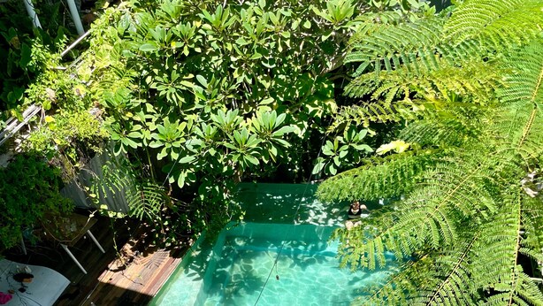 An outdoor swimming pool surrounded by lush greenery. - The Hide Hostel at Canggu - Adults Only (Canggu)