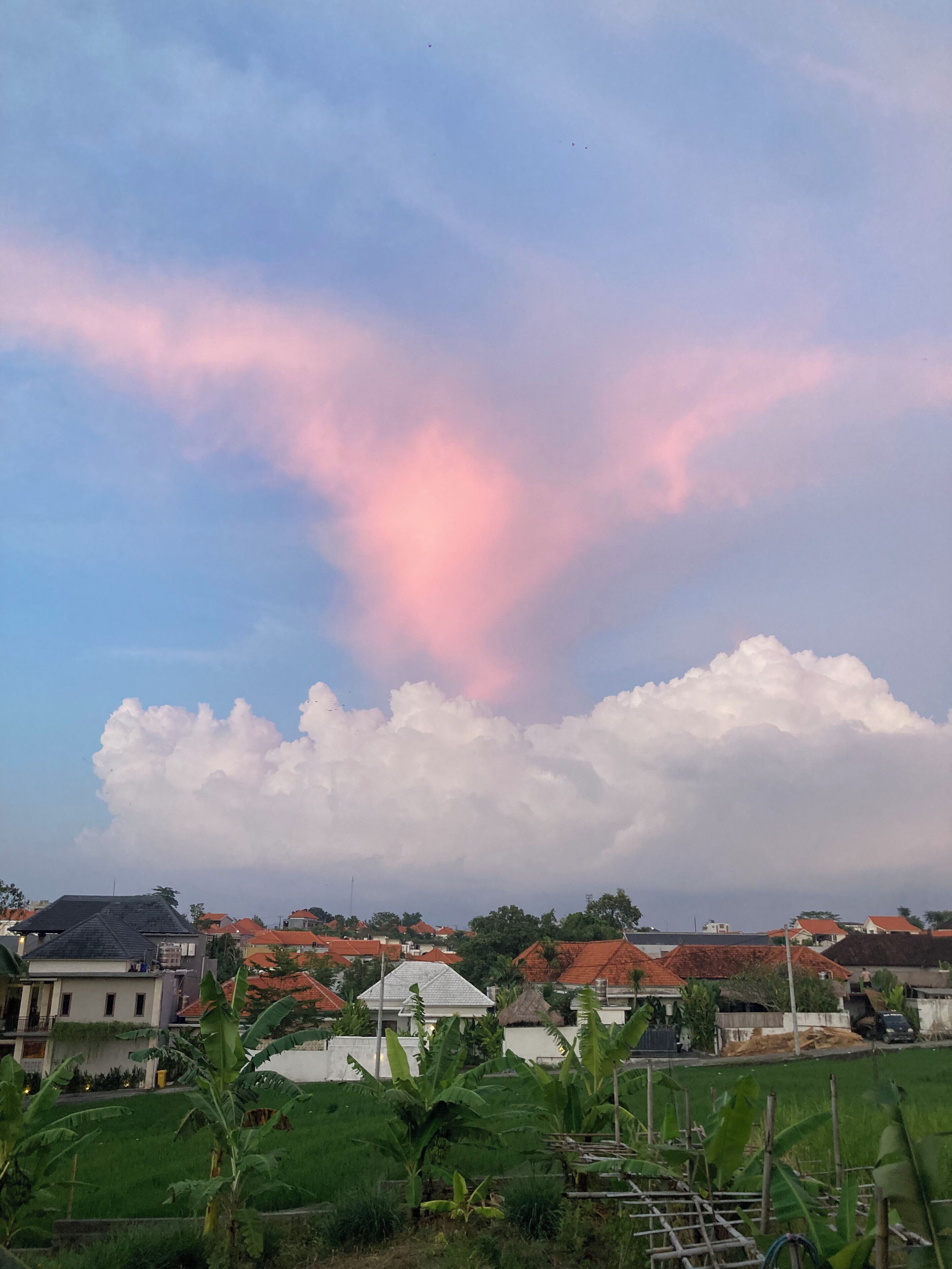 A residential area with houses, a large cloud formation, and a banana plantation.