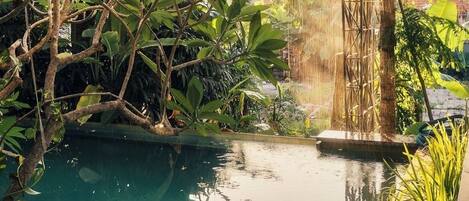 Un área de piscina interior tranquila con abundante vegetación y una estructura de bambú.