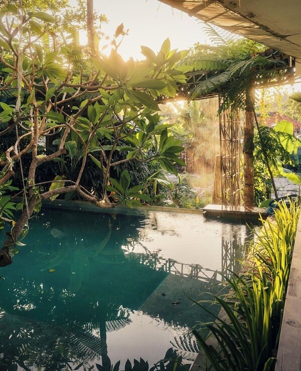 Un área de piscina interior tranquila con abundante vegetación y una estructura de bambú.